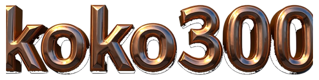 koko300 logo